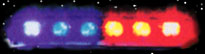 NFS3 light 1.jpg (10315 bytes)